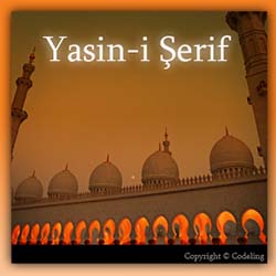 Yasin Suresi'nin Türkçe ve Arapçası Mobil Uygulama