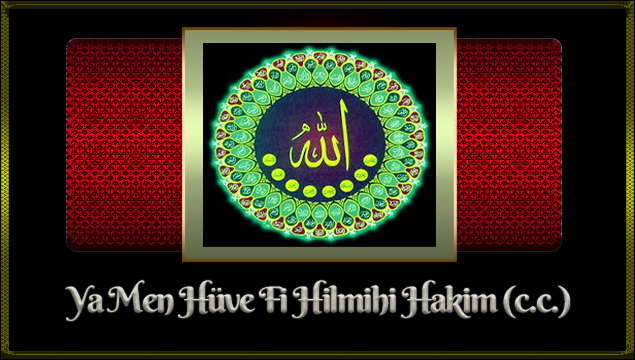 Ya Men Hüve Fi Hilmihi Hakim (c.c.)